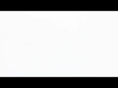 Série E39 Moteur pas à pas multi-sport Performance polyvalente pour diverses applications